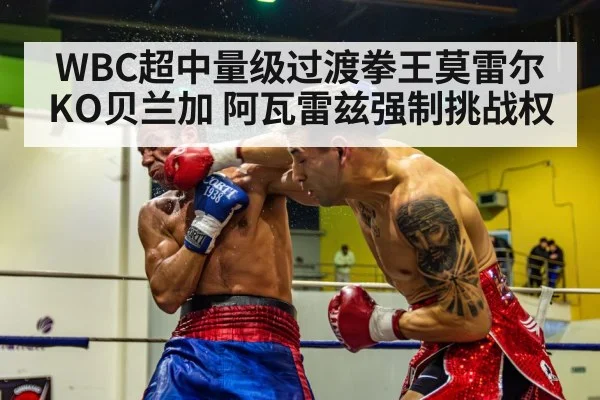 WBC超中量级过渡拳王莫雷尔KO贝兰加 阿瓦雷兹强制挑战权